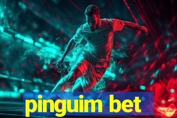 pinguim bet